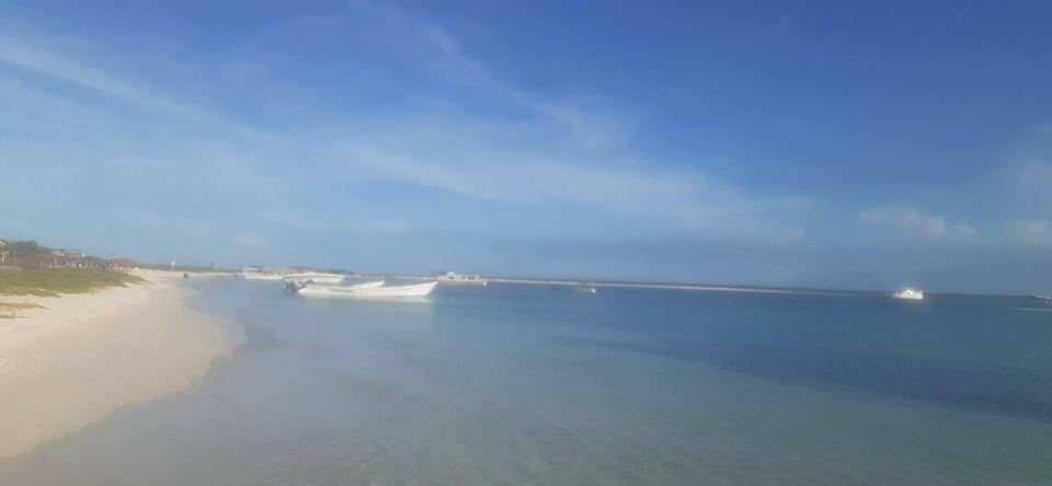 Long white-sand beach and clear water on La Tortuga