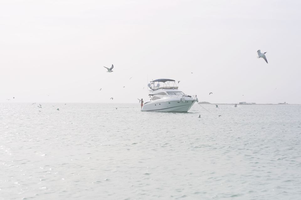Seabirds flying over a motor boat on a calm sea