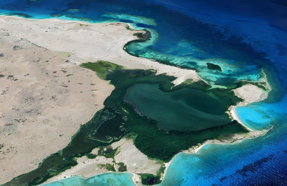 Laguna bordeada de manglares en el extremo oriental de La Tortuga