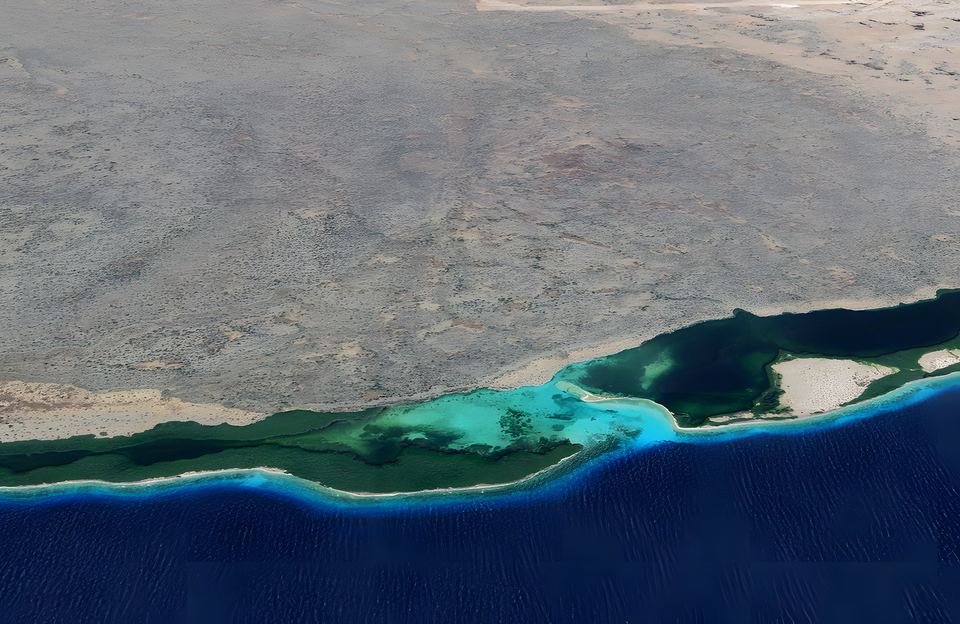 Manglares y arrecife a lo largo de la costa sur de La Tortuga